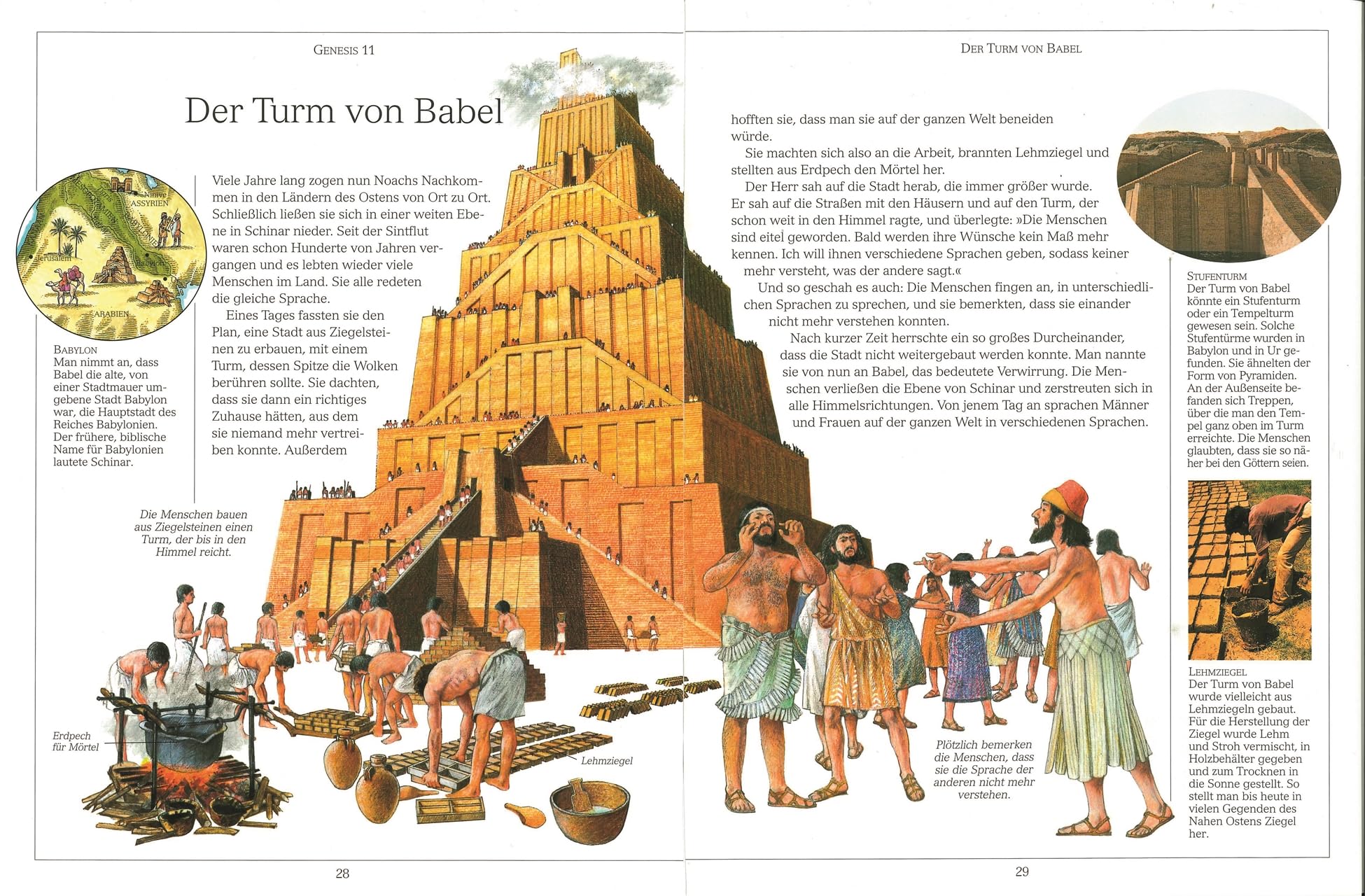 Illustrierte Bibel für Kinder: Kinderbibel zum Erstlesen und Vorlesen mit rund 600 Illustrationen und Fotos. Für Kinder ab 7 Jahren