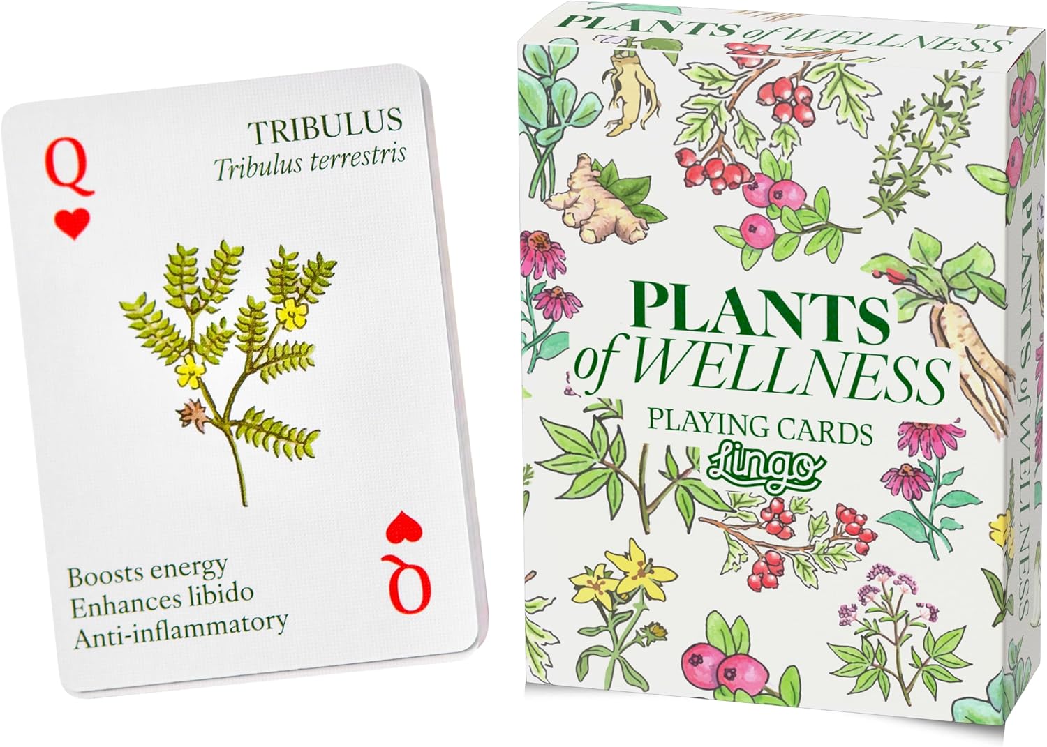 Lingo Plants of Wellness Playing Cards | Holistic Healing | Plant Power on Every Card