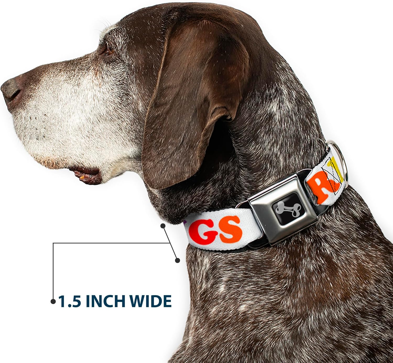 Buckle-Down Free Hugs White/Multi Color Dog Collar Bone, Multicolor, 1.5"" Wide - fits 16-23"" Neck - Medium