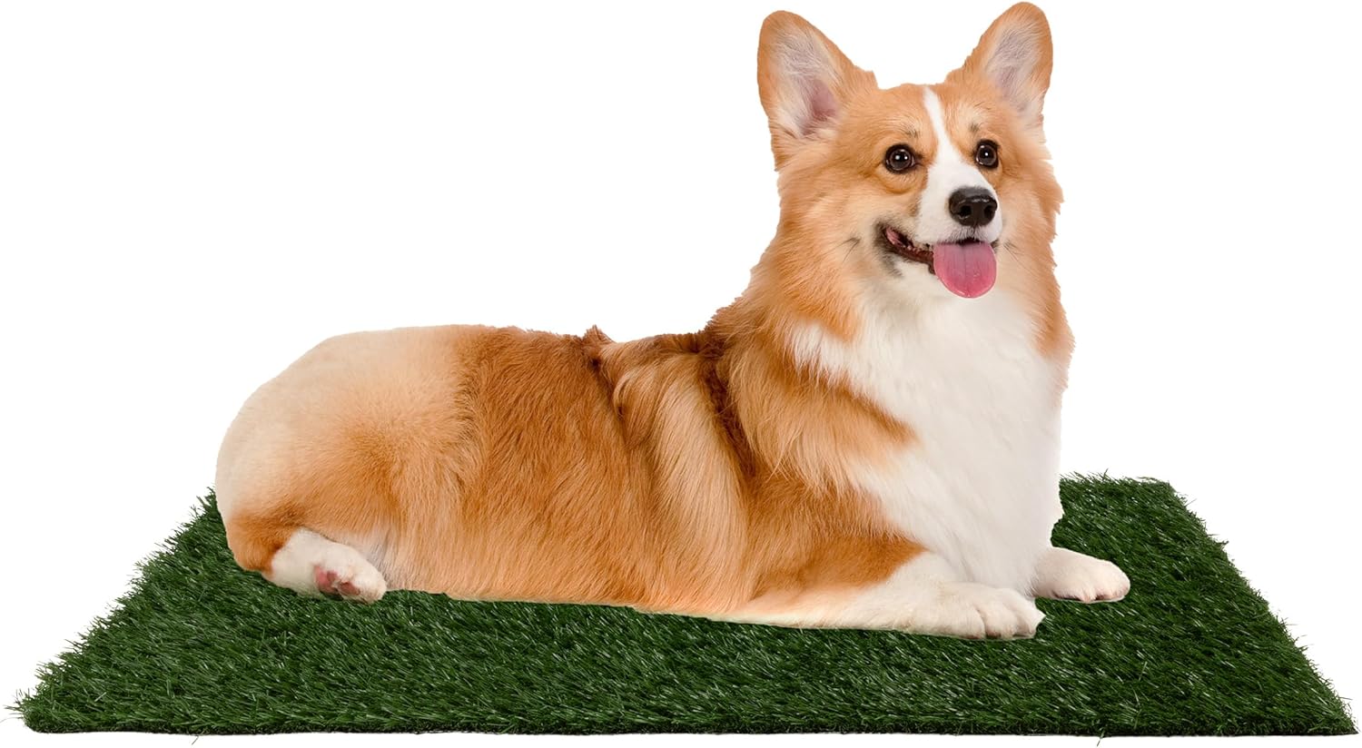 Pee Pads for Dogs - Set of Three 23x18.5-Inch Replacement Turf Grass Mats for Potty Training - Dog Housebreaking Supplies for Small Pets by PETMAKER, Green, Medium Medium Replacement Pads