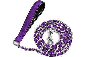 Heavy Duty Metal Dog Leash: The Unbreakable Bond for Your Beloved Canine