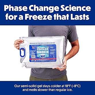 Cooler Shock - Reusable Ice Pack with Handle: Cooler Size 3 Pack