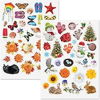 Vista 10 de Current Paquete variado de calcomanías temáticas para todo el año, 12 hojas, 178 calcomanías surtidas para niños, profesores, escuela, álbumes