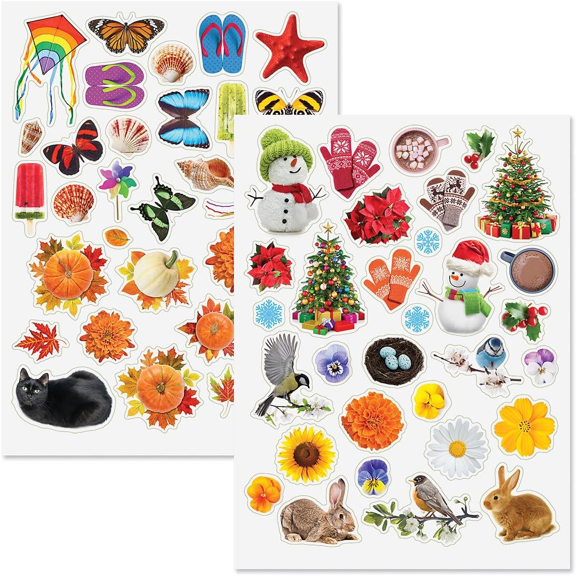 CURRENT Four Seasons Stickers - Assorted Stickers for Kids, Teachers, School, Scrapbooking, Journals, Monthly Planners, Calendars, Holiday Crafts, Greeting Cards, & Special Occasions