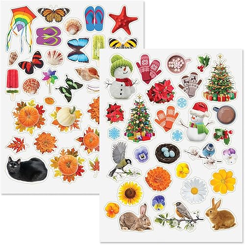 Miniatura 10 de Current Paquete variado de calcomanías temáticas para todo el año, 12 hojas, 178 calcomanías surtidas para niños, profesores, escuela, álbumes