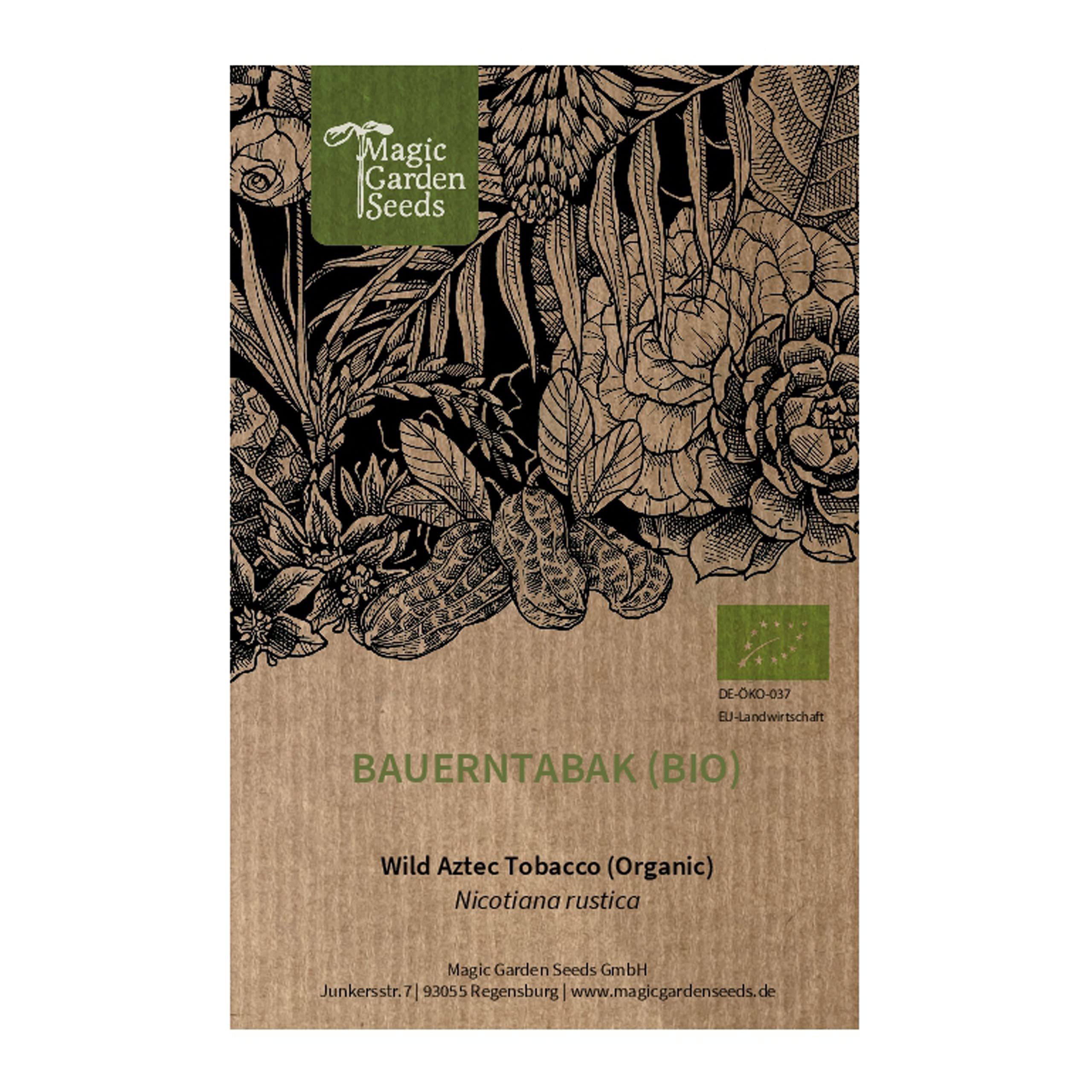 Wild Aztec Tobacco (Nicotiana rustica) organic