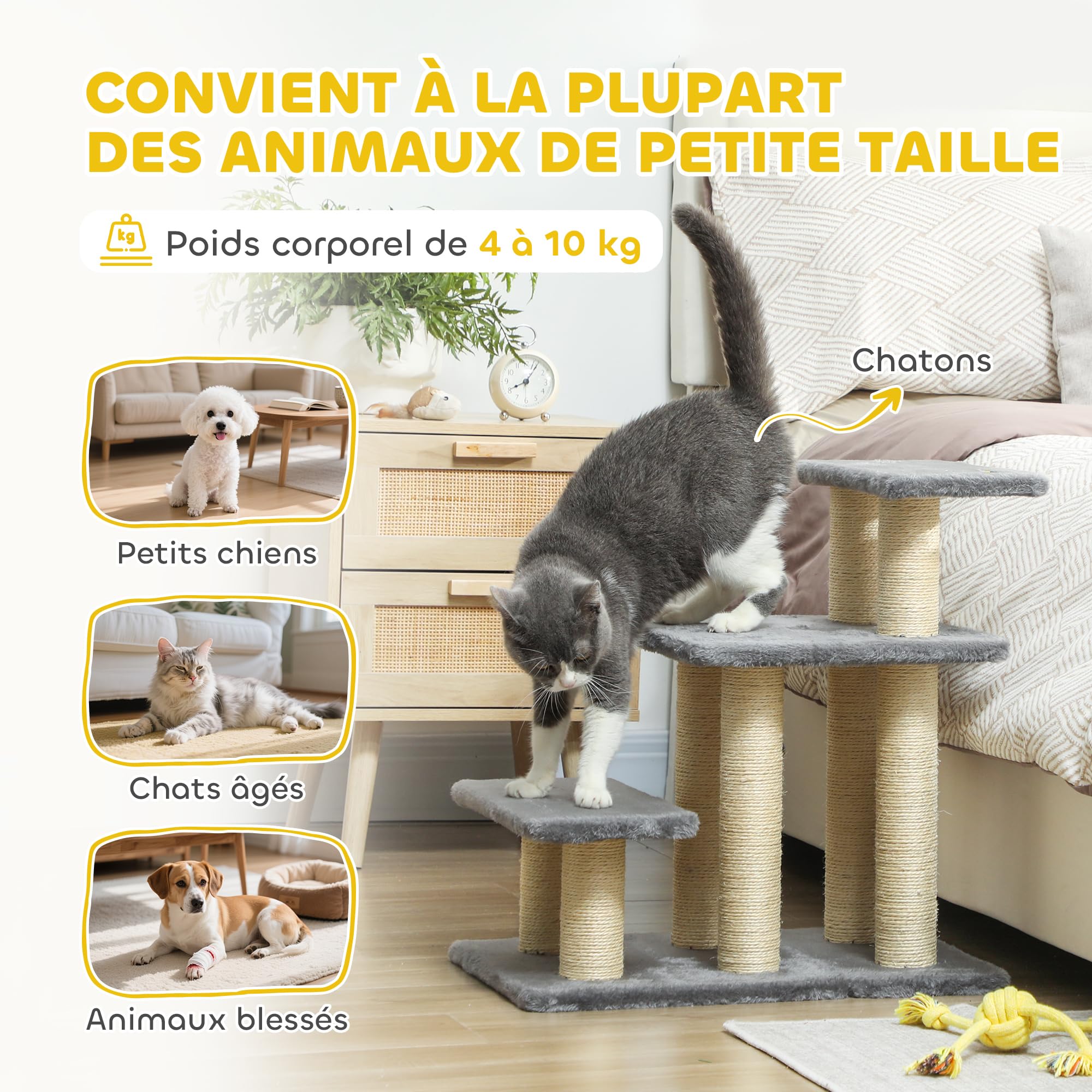 PawHut Escalier pour Chat réglable 3 marches, Arbre à Chat avec Balle et griffoirs en sisal, pour Atteindre Facilement Les Lits Hauts ou Les canapés, Gris