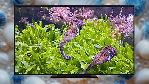 Hippocampe Relaxation - Des images d'océan paisibles et des sons apaisants pour lutter contre le stress. – vue 6