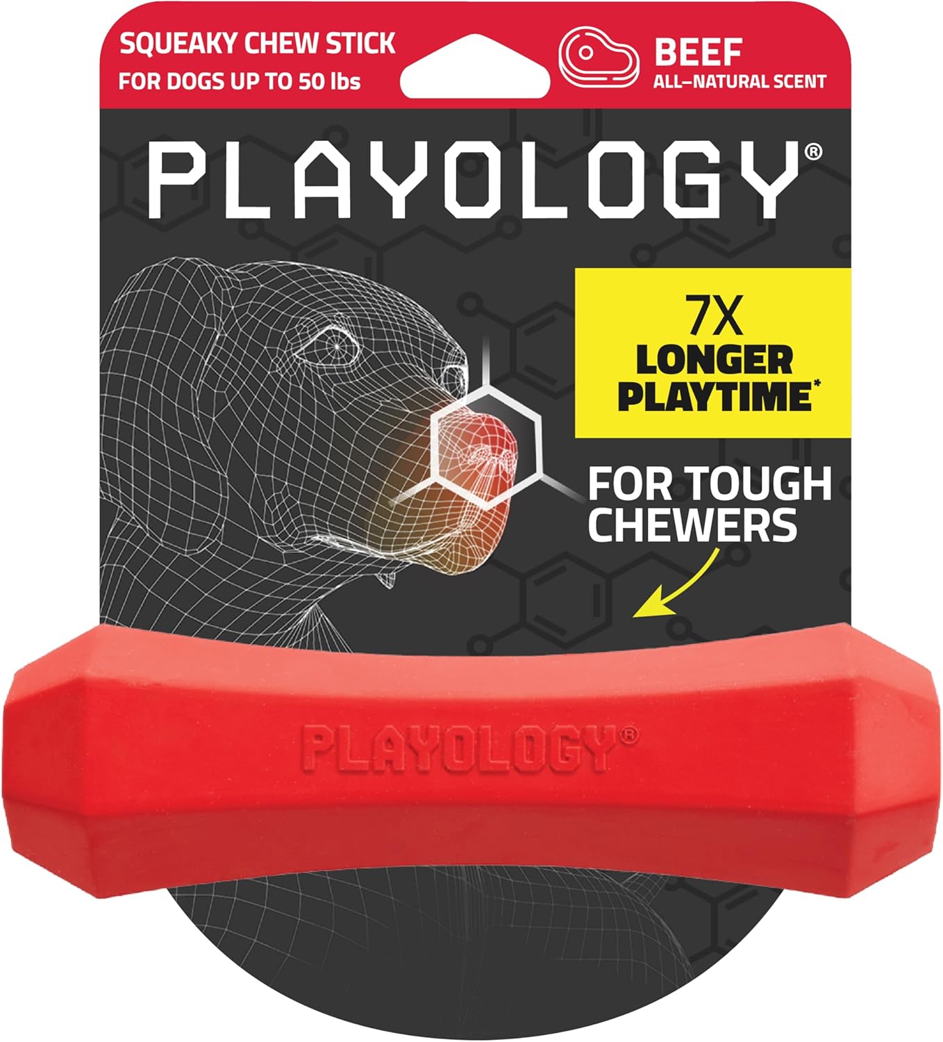 Playology Squeaky Chew Stick Dog Toy for Medium Dogs up to 50lbs | Engaging All-Natural Beef Scented Dog Chew Toy for Tough Chewers | Easy to Clean & Non-Toxic Materials