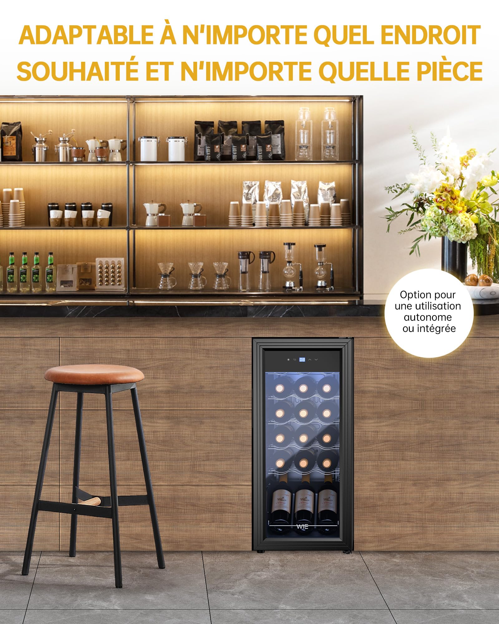 Cave à Vin 18 Bouteilles 53L Réfrigérateur à Vin 5°C-18°C Compresseur Verre Porte Panneau Tactile LED