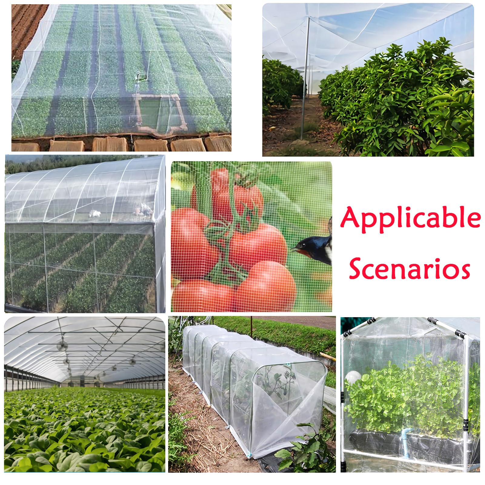 Red antipájaros, malla fina, protección para frutas, verduras, flores y cultivos, 4 x 8 m, red de jardín y control de plagas ligera y eficaz, ideal para invernaderos
