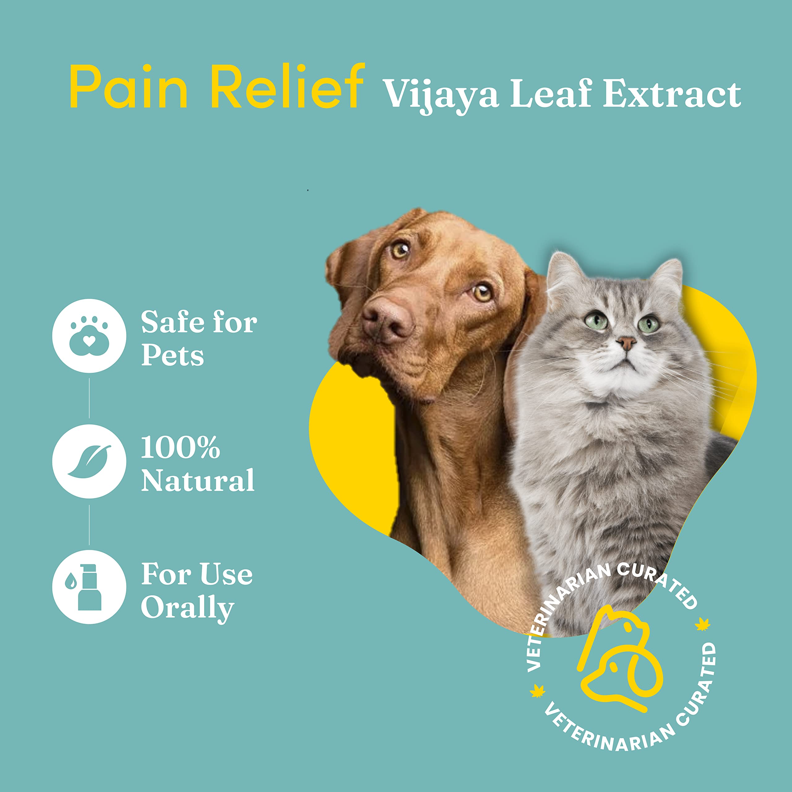 Hemp Oil for Dogs Cats | Organic Vijaya Leaf Extracts for Anxiety, Arthritis Pain and Skin Rashes | 30ml — Amazon image 2