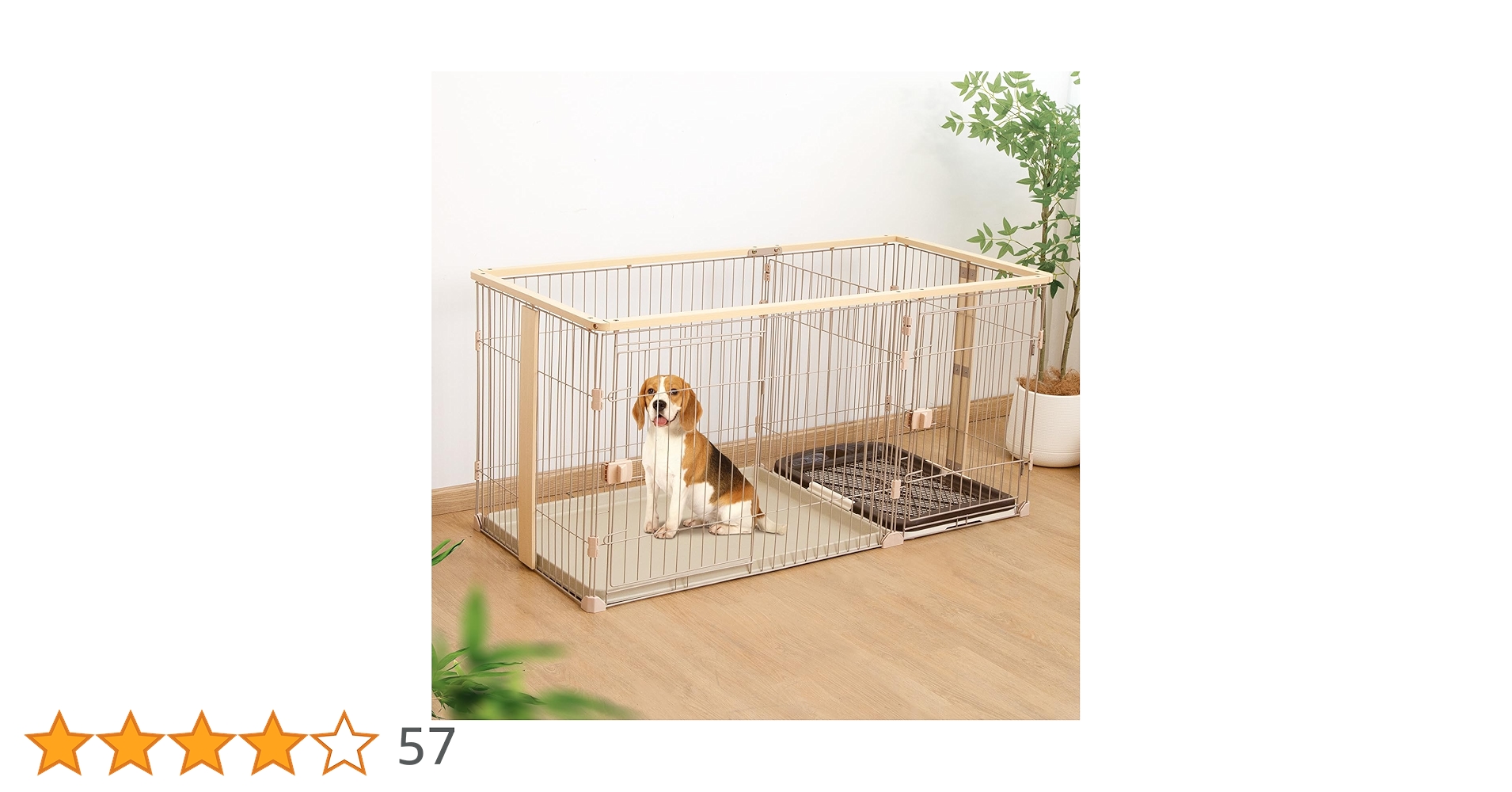 81EVLYREqVL.jpg_BO30,255,255,