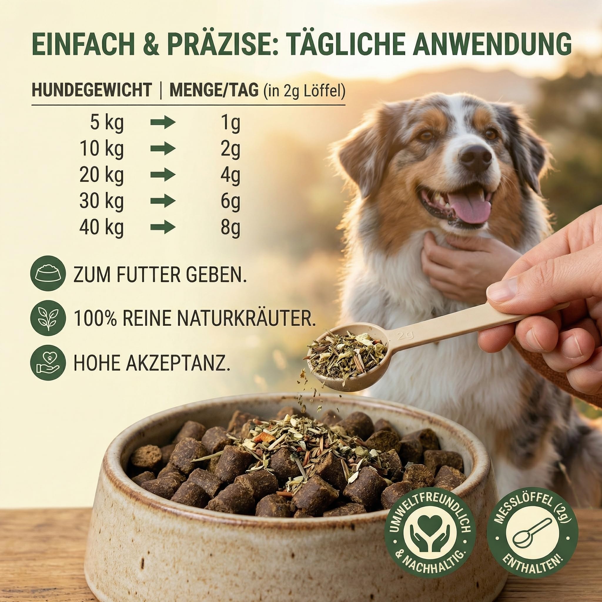 Bleib Fit Bitterkräuter für Hunde 250g - Magen, Darm, Verdauung & Leber - 21-Kräuter-Komplex - Reichhaltige Bitterstoffe - Sättigungsgefühl & Appetitregulation - 100% Natürlich