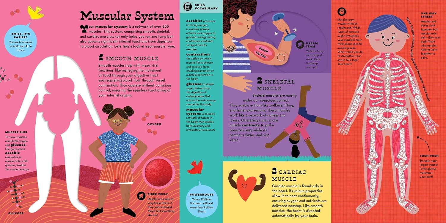 The Interactive Human Body: Explore the human body with flaps, wheels, levers, touch and feel, and more! (The Interactive Explorer, 3)