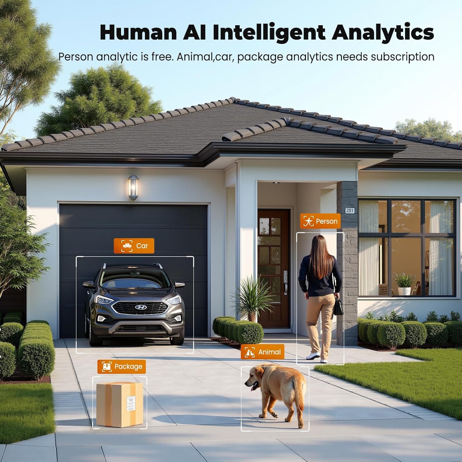 Image showing a house driveway with a car, a person, an animal (dog), and a package, each highlighted with a bounding box and label indicating 'Car', 'Person', 'Animal', and 'Package' detection.