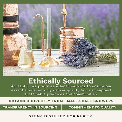 Miniatura 5 de H.E.A.L.'s Aceite esencial de eucalipto puro de 0.5 onzas, aceite de aromaterapia 100% natural para difusores, fragancias para el hogar y proyectos