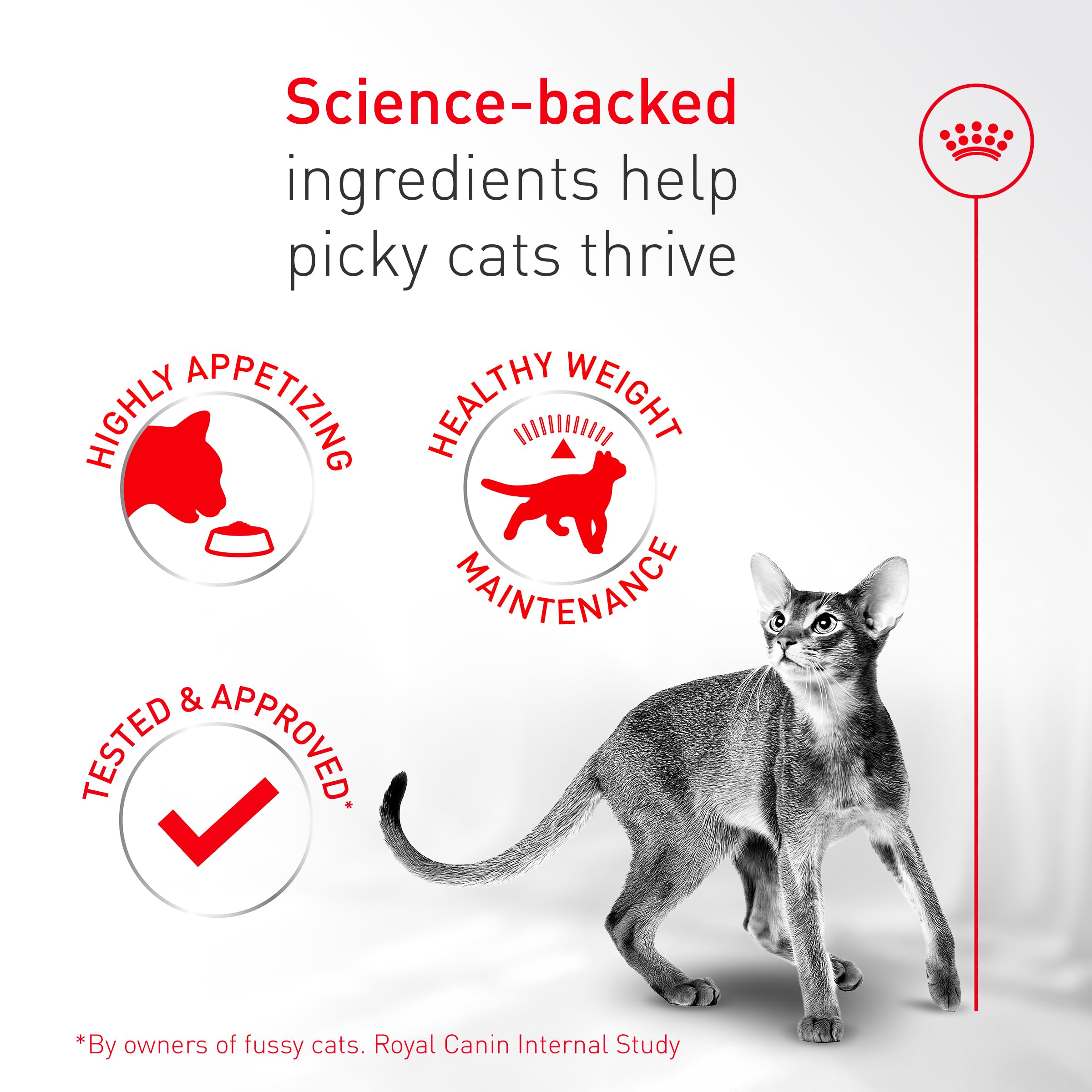 Royal Canin Fussy Katzenfutter trocken für ausgewachsene Katzen, Eiweißreiche Trockenfutter für wählerische Esser, Geflügelbasis, Unterstützt gesundes Gewicht und Harngesundheit, 3,2 kg Beutel
