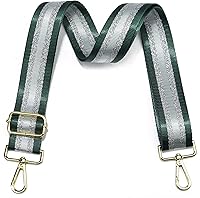 Vista 20 de Correa para bolso, accesorios plateados, correas anchas para bolsa, correa de hombro ajustable para bolsos