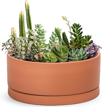 Dvine Dev 12 Inch Succulent Terracotta Shallow Pot with Drainage Hole and Saucer, Round Cylinder Planter Pot for Plant Flower, 40-Y-C-0