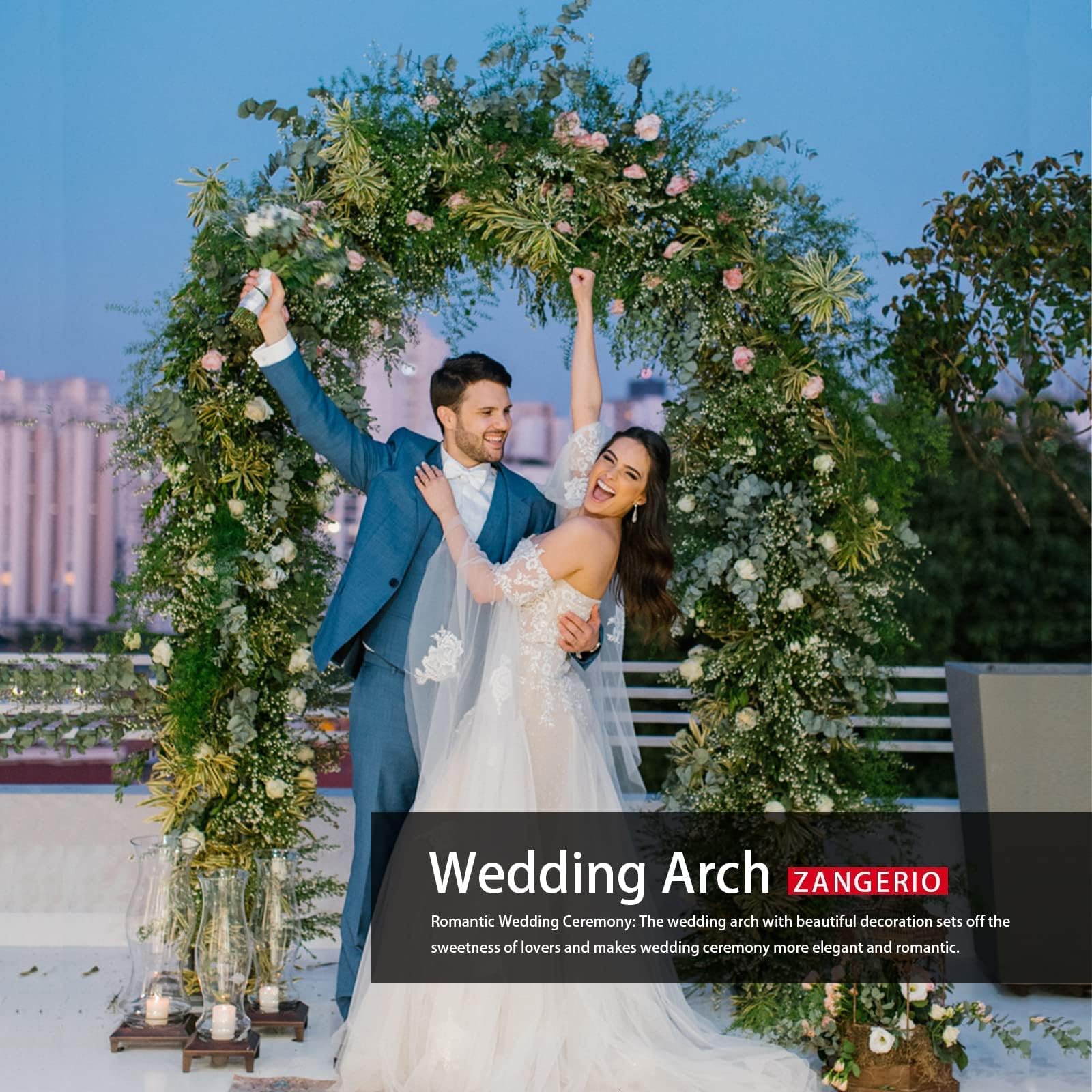 Garden Arch Trellis for Climbing Plants Outdoor Wedding Arches for Ceremony Black Metal Garden Arbor Indoor Garden Arches for Party Decoration 7.9ft Wide X 6.4ft High (Garden Arch)