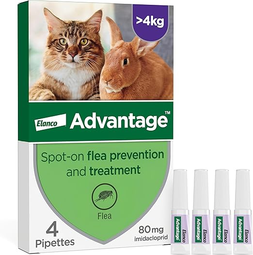 Advantage Spot On Flea Treatment For Large Cats and Rabbits Over 4kg (4 ...