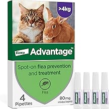 Advantage Spot On Flea Treatment For Large Cats and Rabbits Over 4kg (4 pipettes, 80mg), Kills Fleas Within 24 Hours, Prevents Further Infestation For Up To Four Weeks in Cats