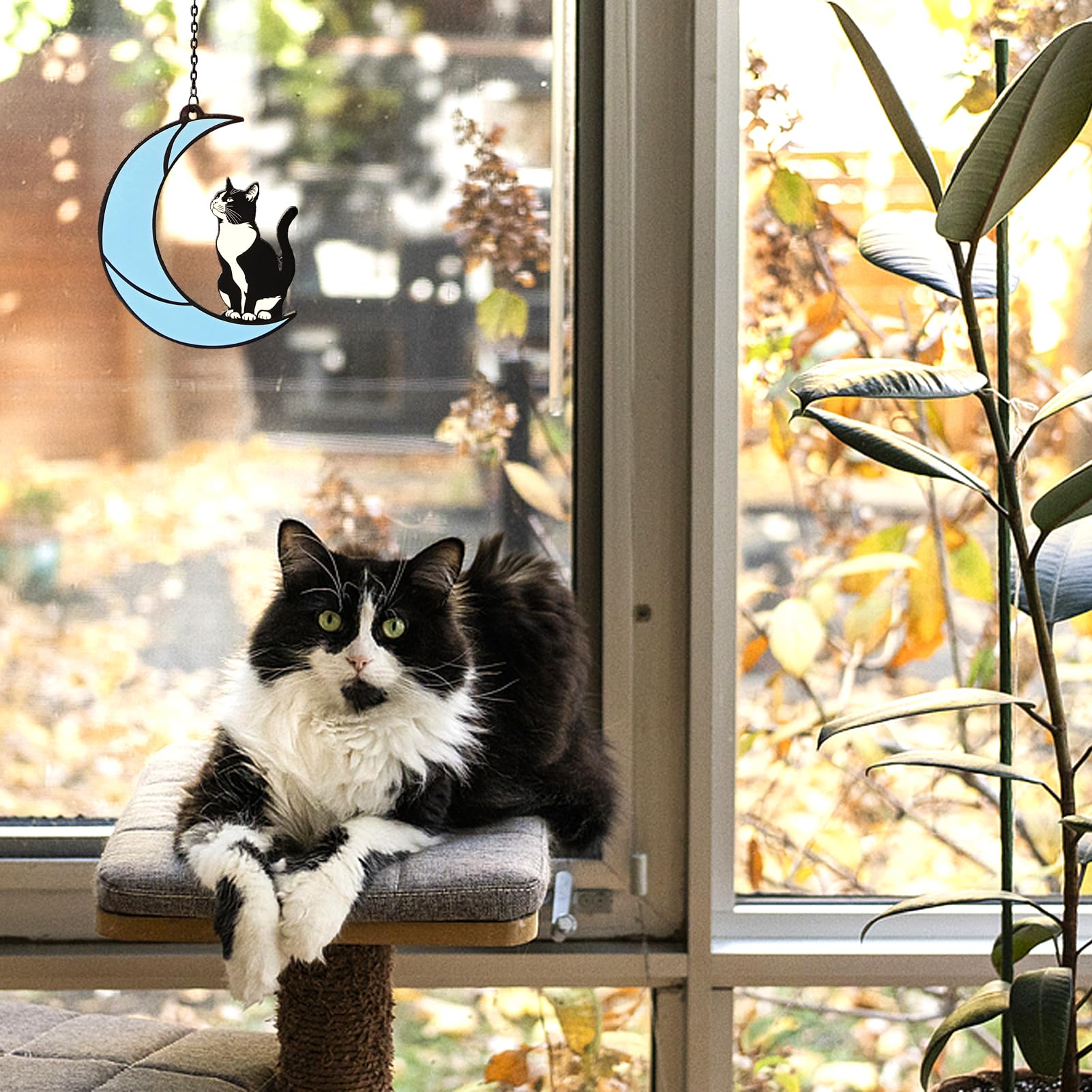 Black and White Cat Moon Suncatcher - Cat Loss Sympathy Gift, Tuxedo Stained Glass Hanging Ornament for Memorial Home Decor