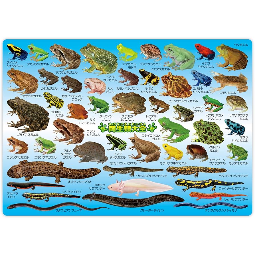 敵意ある調査員　3枚　無駄省き　4枚　ガイアー岬の療養所　2枚 敵意ある調査員3枚無駄省き4枚ガイアー岬の療養所2枚