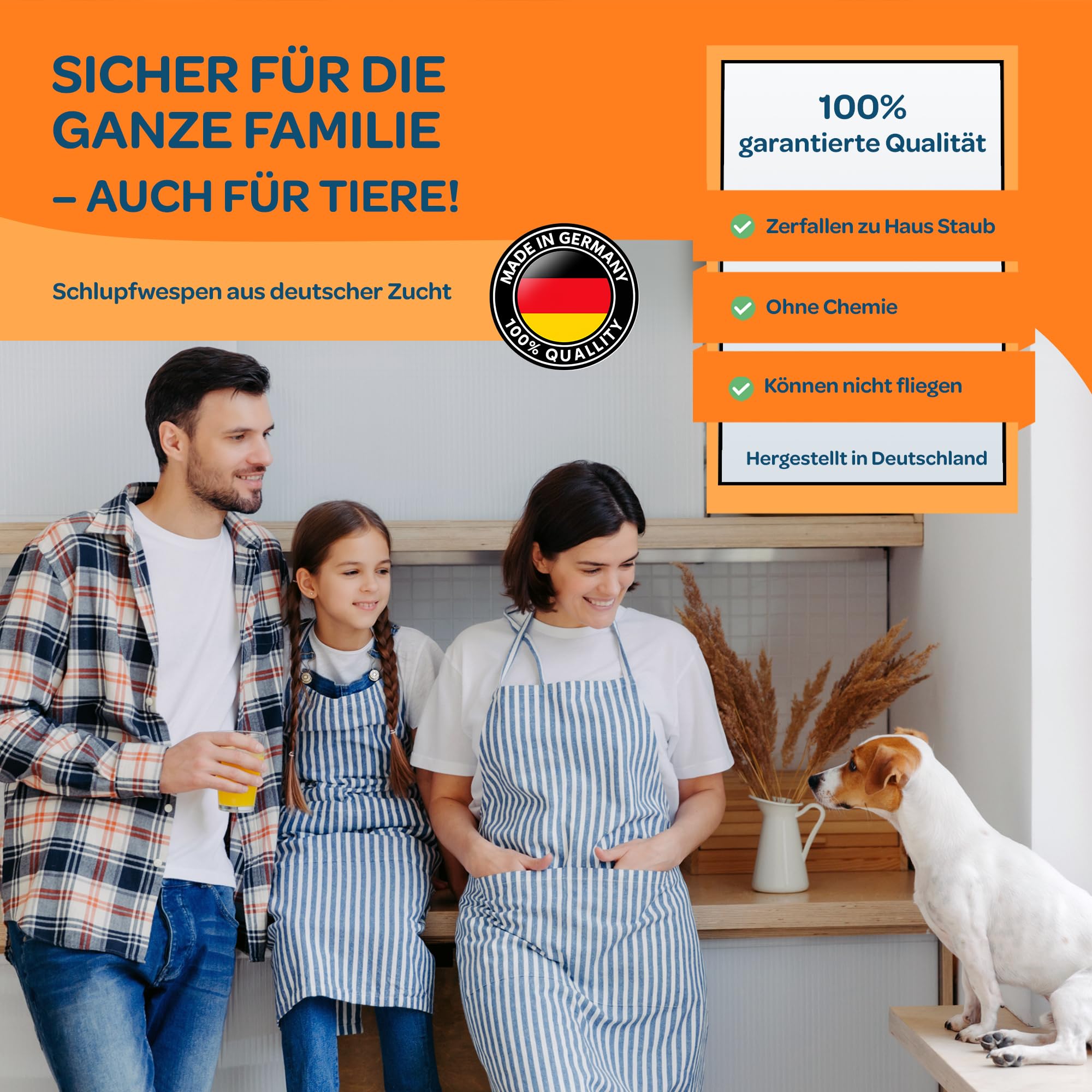 DOLCI SOGNI Ichneumons Anti Mites Alimentaires – Anti Mites Naturel & Puissant – Piège à Mites sans Produits Chimiques – Trichogrammes pour Cuisine, Placard & Garde-Manger – 5 Cartes