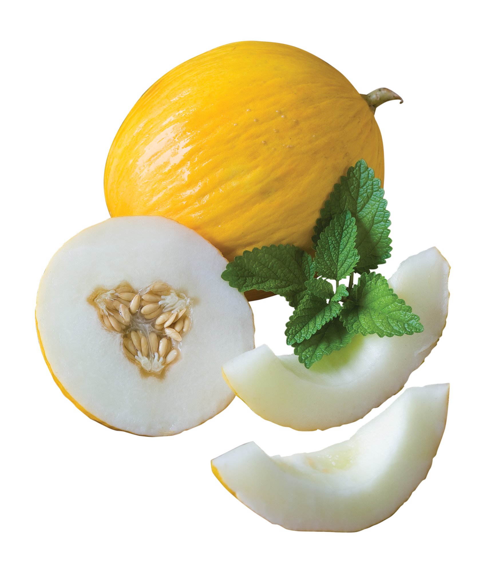 Amazon.com : Burpee Twice As Nice Hybrid (Fonzy) Melon Seeds 15