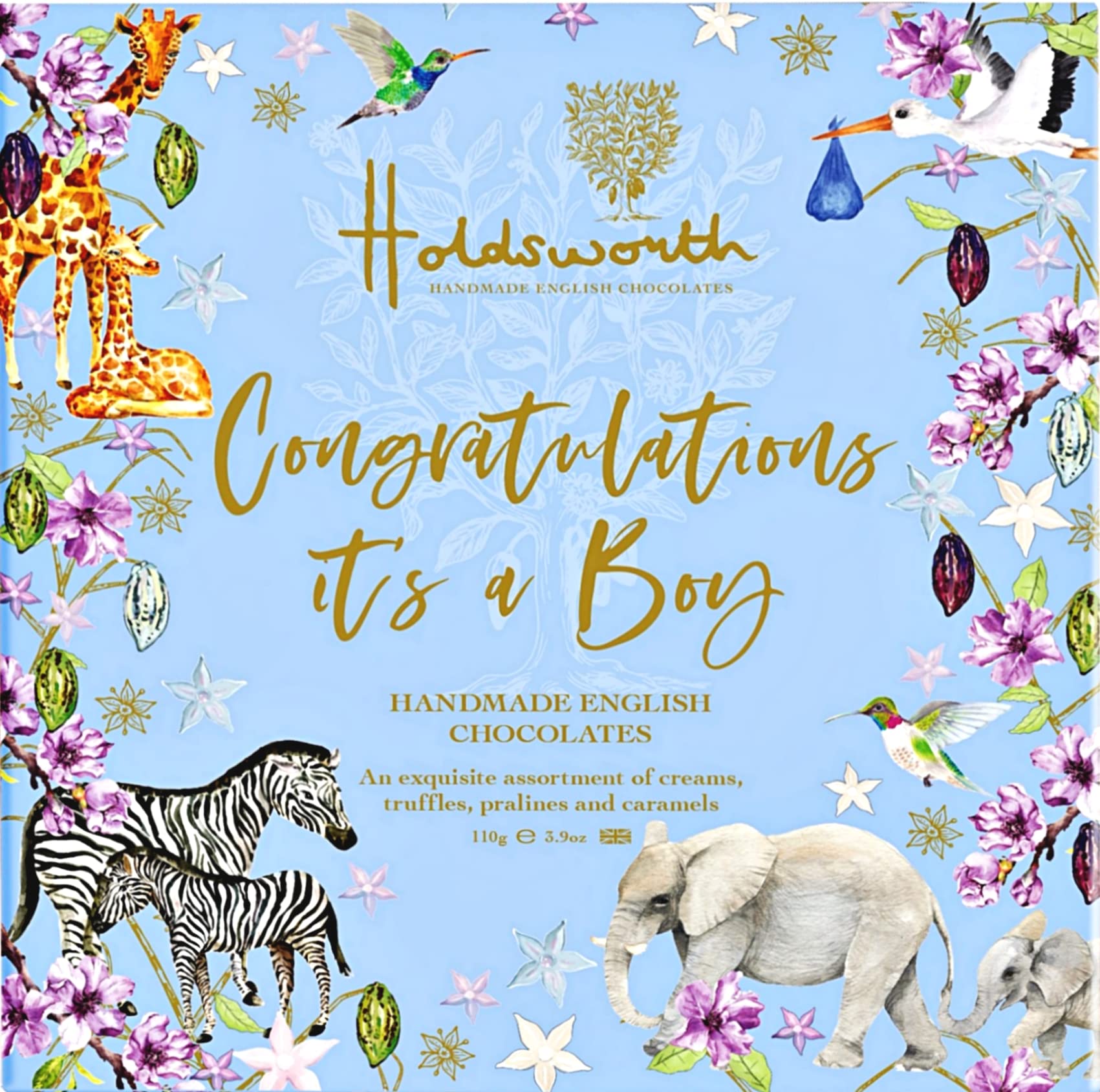 Holdsworth Chocolates Occasions Collection - It's A Boy Gift Box Handmade Truffles with Assorted Milk, Dark and White Chocolates a Perfect New-born Gift 110g