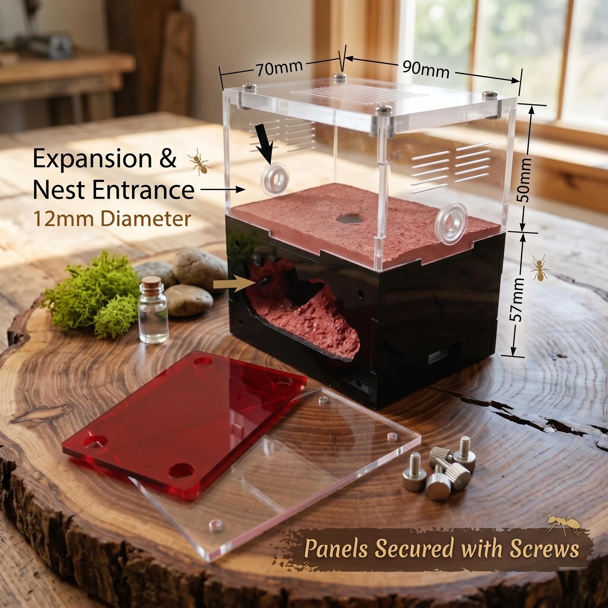 Formicarium - Kit Habitat per Ant Farm, per osservazione del comportamento, terrario educativo per adulti e bambini