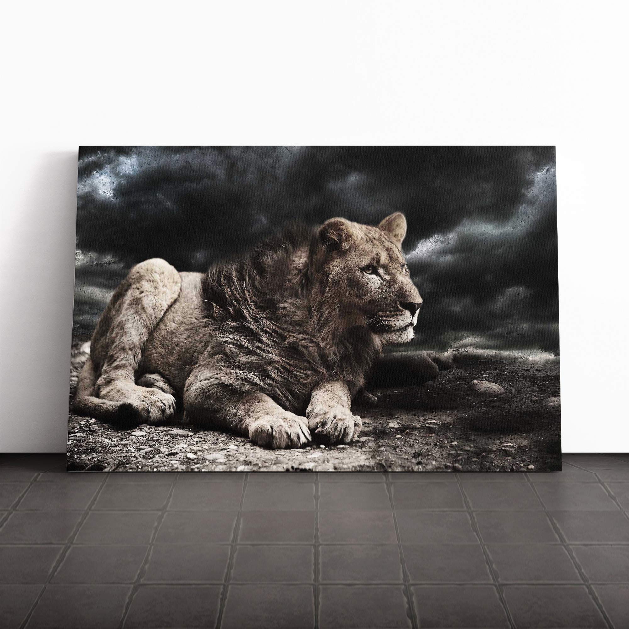 Young Lion Canvas Print | Gallery Wrapped 30mm Frame Wall Art | 30x20 inches | Ready to Hang | Modern Animals Picture | Living Room Bedroom Lounge Office