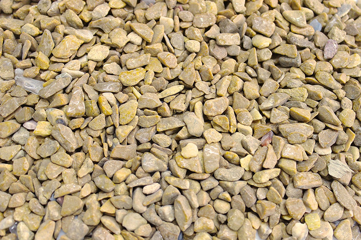 Yellow Natural Marble Chips for Garden Decor Home Decor Backyard Patio Pathway Indoor and Outdoor Decoration Aquarium Substrate (0.5 kg)