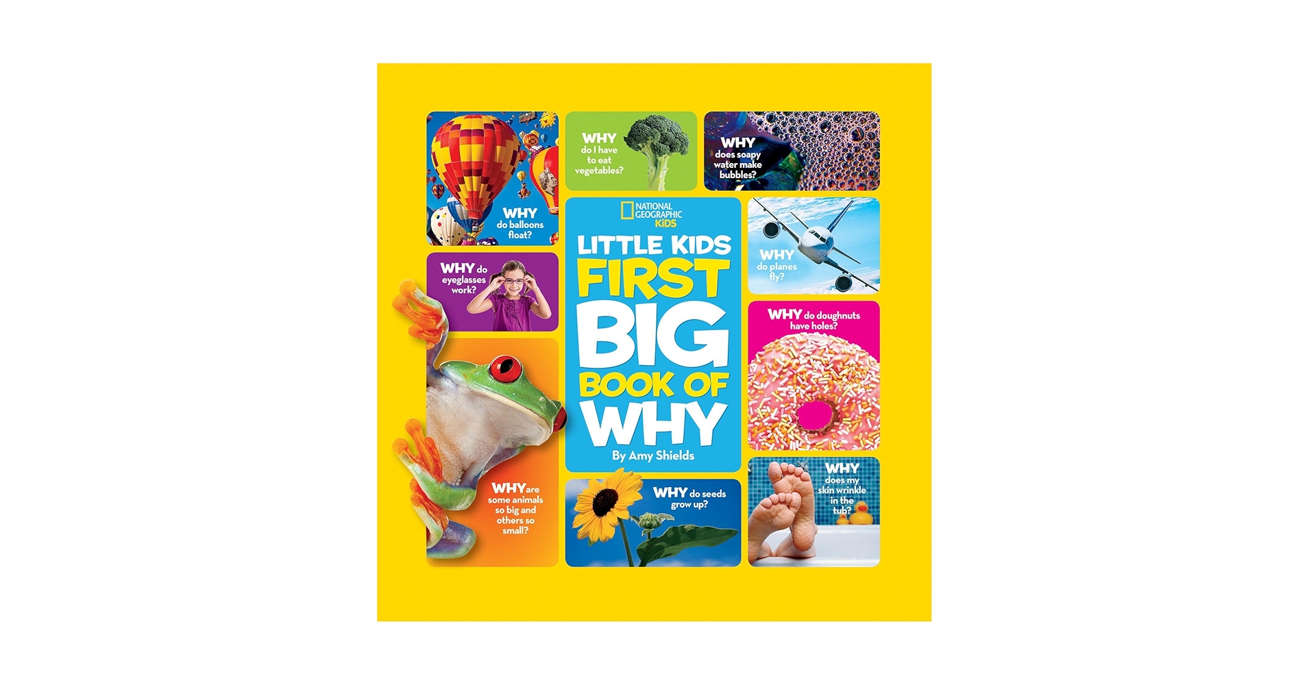 Little Kids First Big Book シリーズ4冊セット GUEST_0963fc2a-bdaa-42e7-ba76-