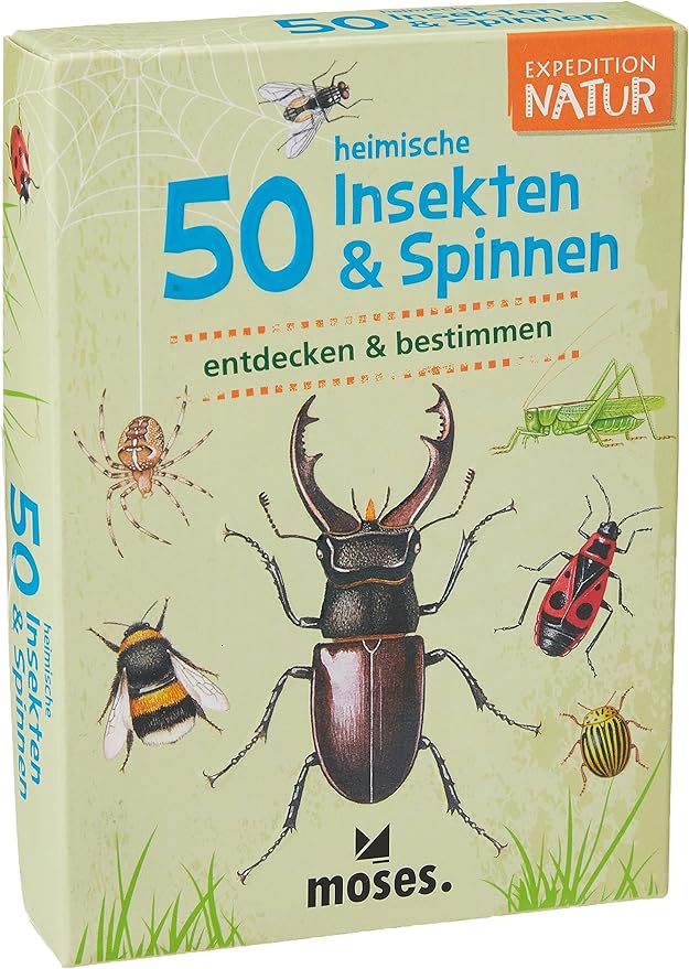 Expedition Natur Bestimmungskarten - Insekten und Spinnen