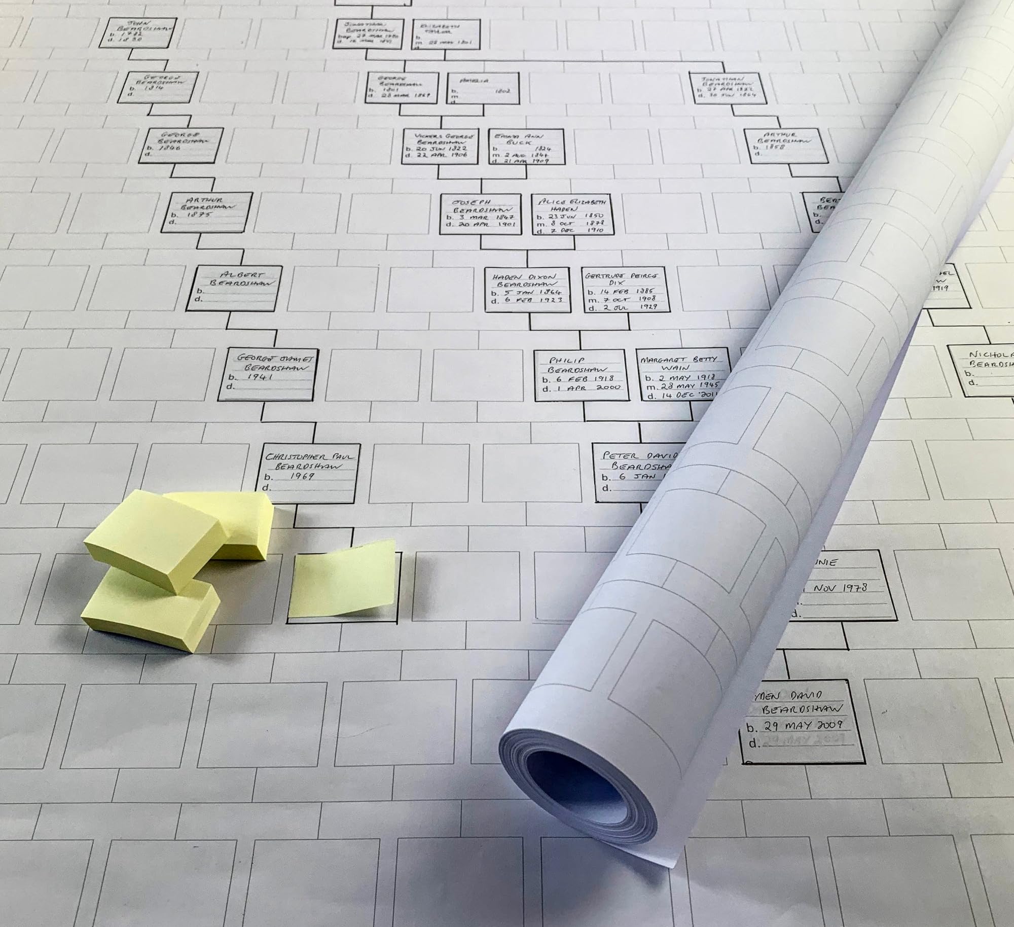 My History Family tree working chart (10 Generation tall, 10 metres long)