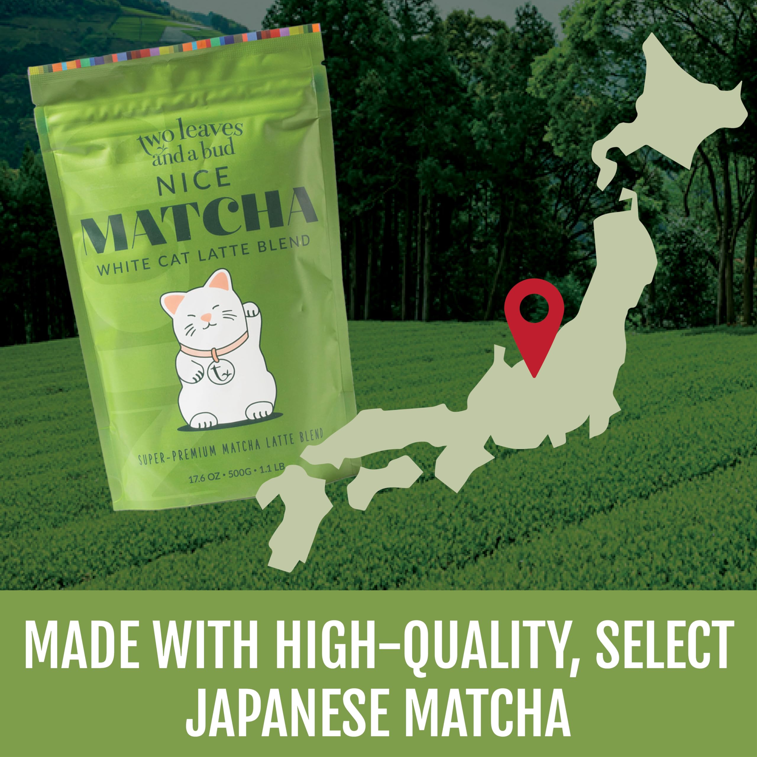 Two Leaves and a Bud Nice Matcha Latte Blend 36 Servings Japanese Matcha Green Tea Powder 1 Resealable — view 4
