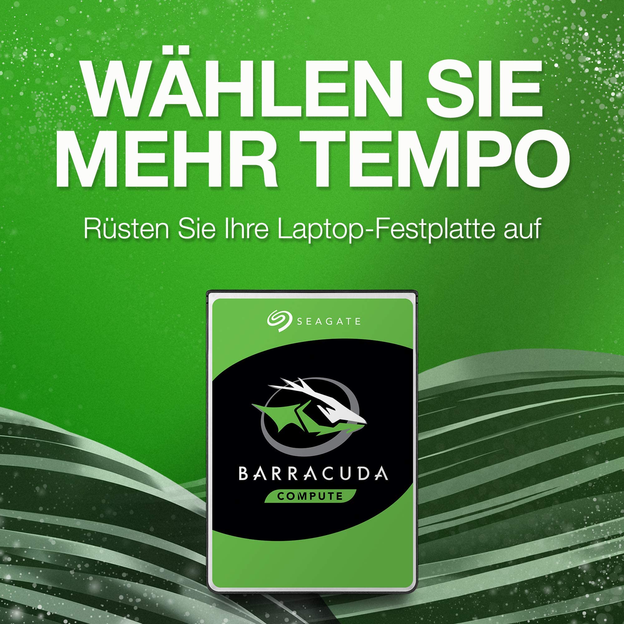 Seagate ST6000DM003 Barracuda 6TB Festplattentest - Dettaglio