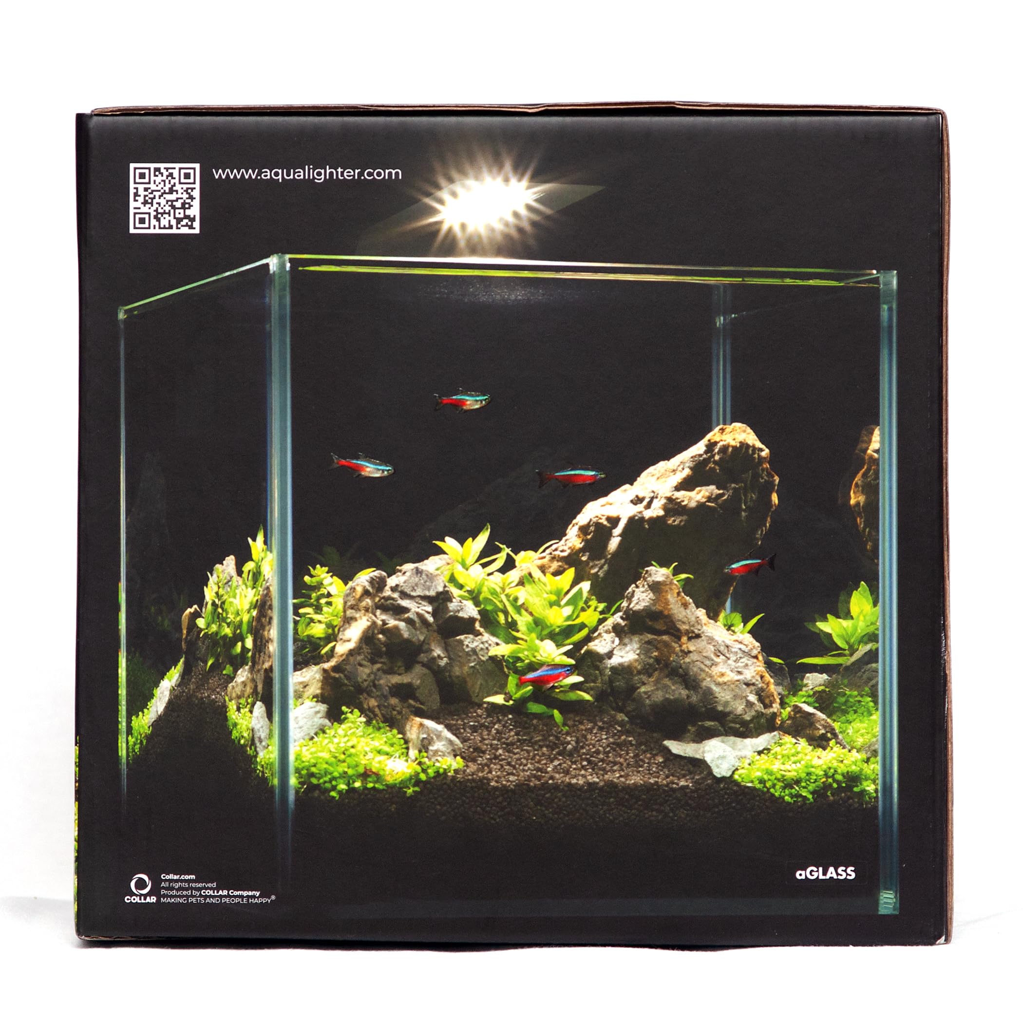 AquaLighter Nano-Aquarium 10 l Set aus Weißglas, mit LED-Beleuchtung und Filter