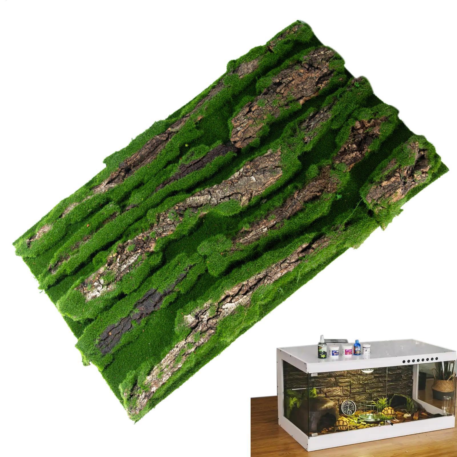 Antecedentes de Corcho para Terrario - Decoración de viviendas de Reptiles | Fondo de Corteza con Espuma Artificial, Accesorio Natural para, Serpiente, camaleón, Gecko, dragón Barbudo y anfibi