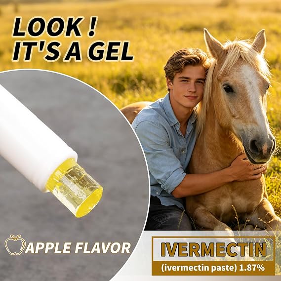 Equine Paste 1.87% | Apple Flavored 6.08g Tube for Horses, 1-Pack