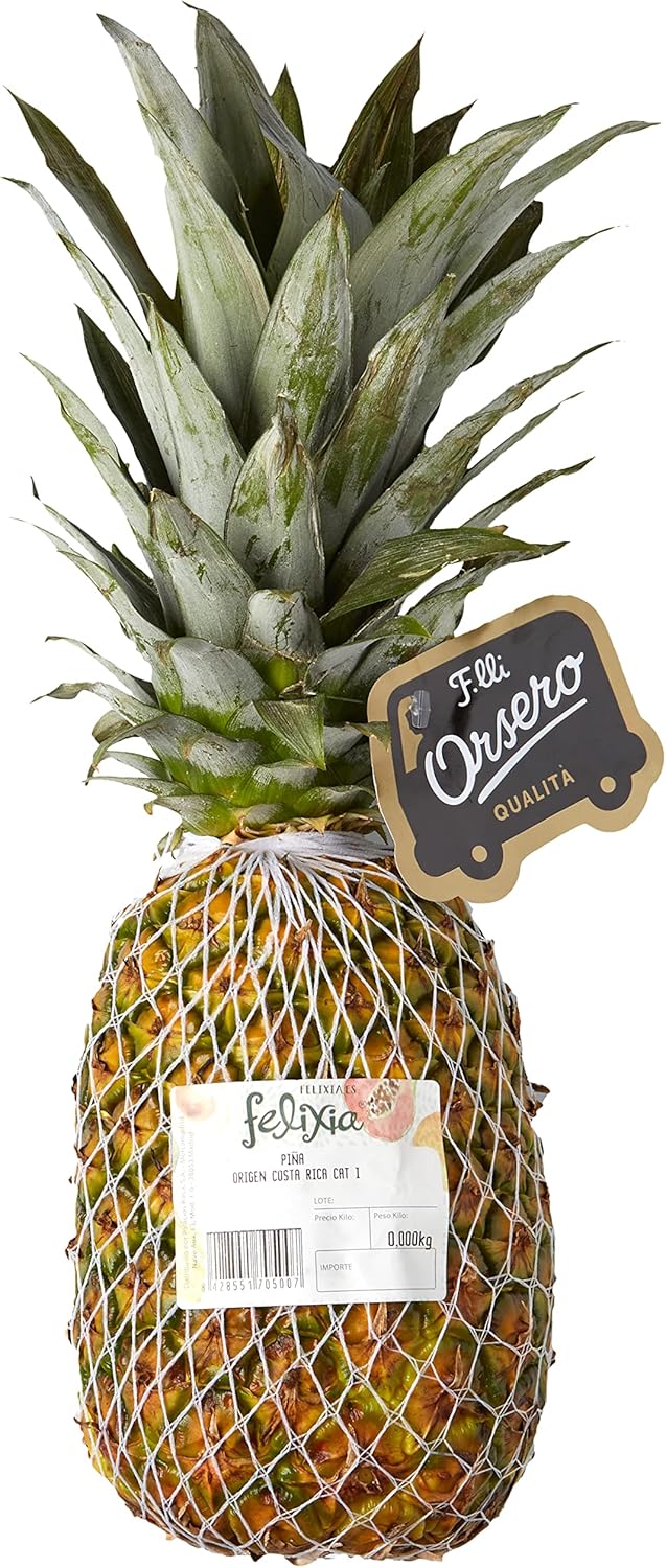 Piña del monte - 1.7 kg - Imagen 3