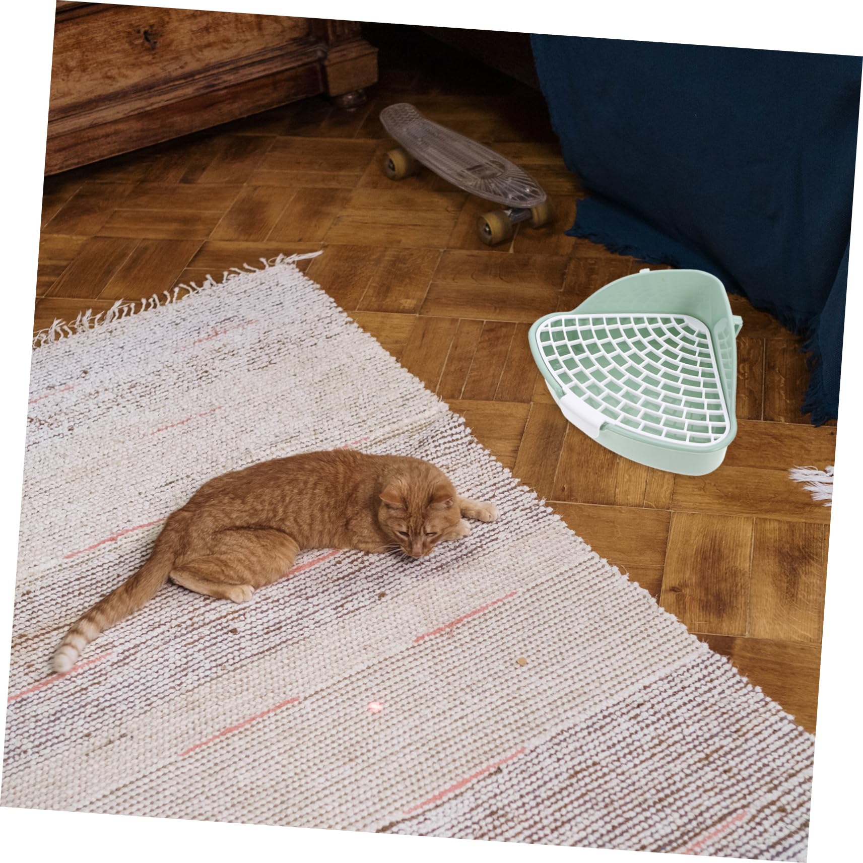 INOOMP 3pezzi Lettiera per Domestici per Conigli Cavia e Criceti Design Antischiuma e Facile Colore Menta per Abituare Bisogni Domestici