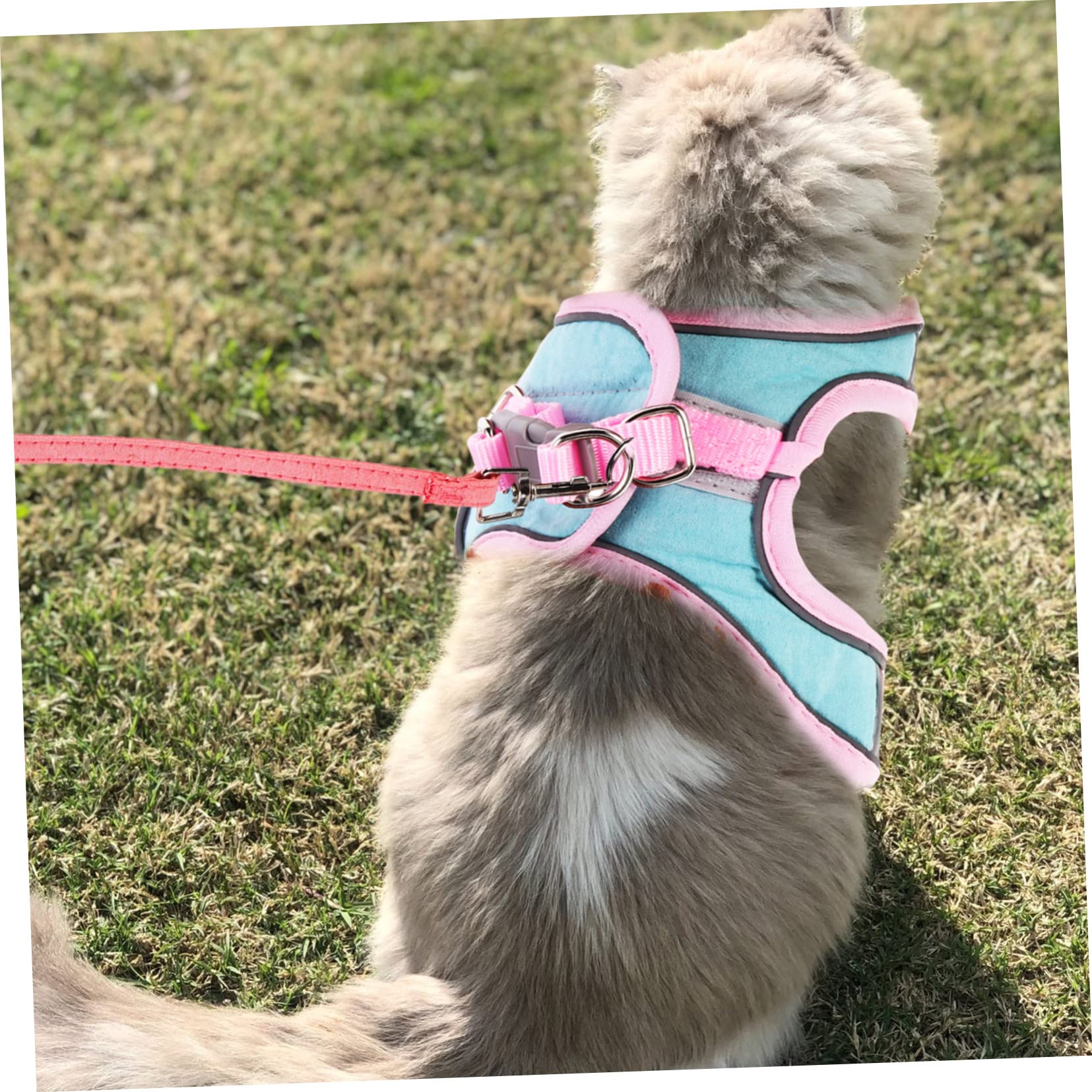 ABOOFAN 4ensembles pour Chat Et Chien Kit Évasion avec Laisse Réfléchissante Et Veste Ajustable pour Promenade Et Dressage
