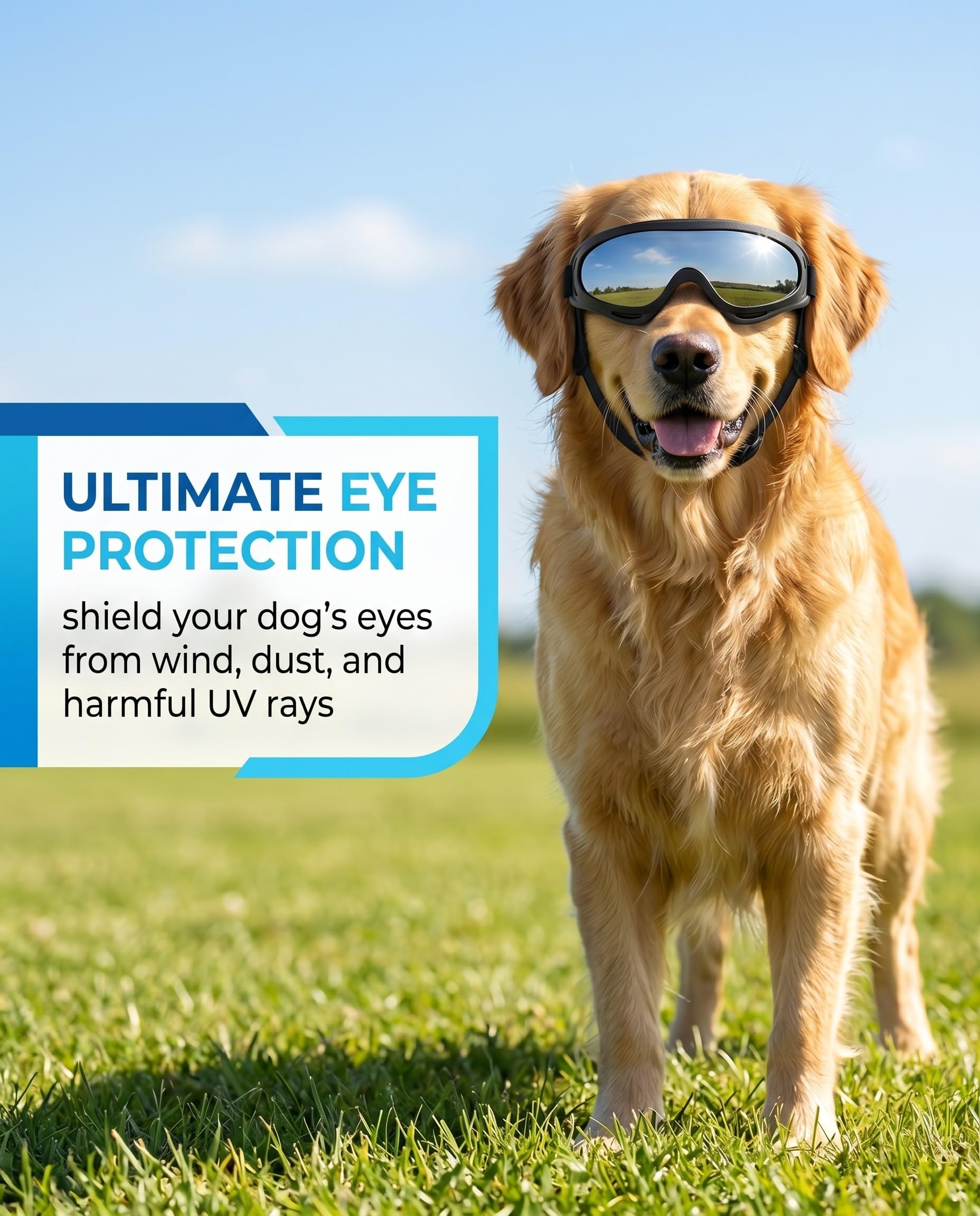 Occhiali per Cani Protezione UV, Occhiali da Sole per Cani Antivento per Cani di Taglia Media e Grande con Cinghie Regolabili, Maschera con Lenti Argentate per Guida Attività all'Aperto