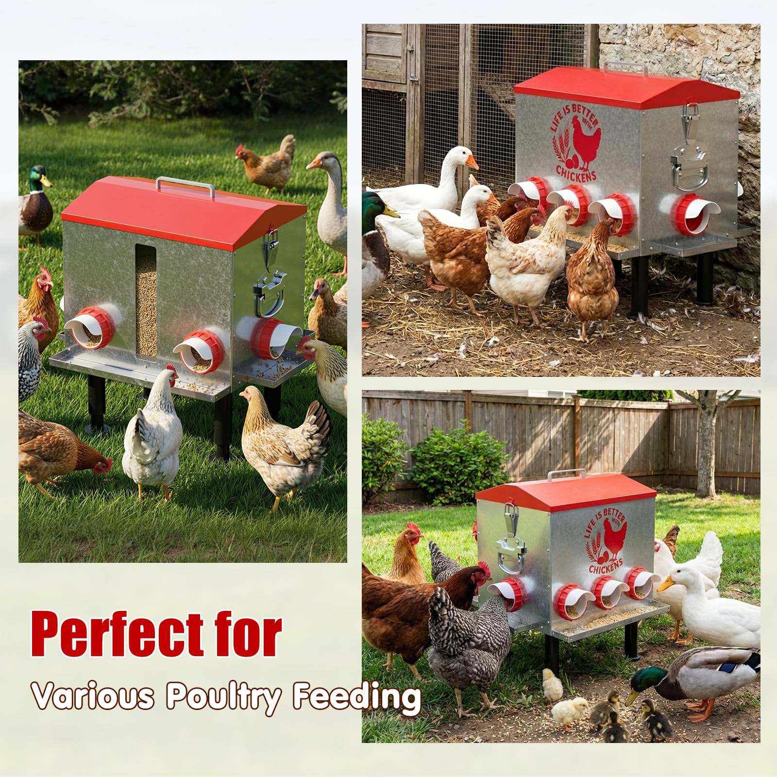 Pawaboo Comedero automático para pollos de 55 libras, comedero de aves de corral de gran capacidad, 7 puertos de alimentación, ventana de nivel de alimentación visible, patas ajustables en altura