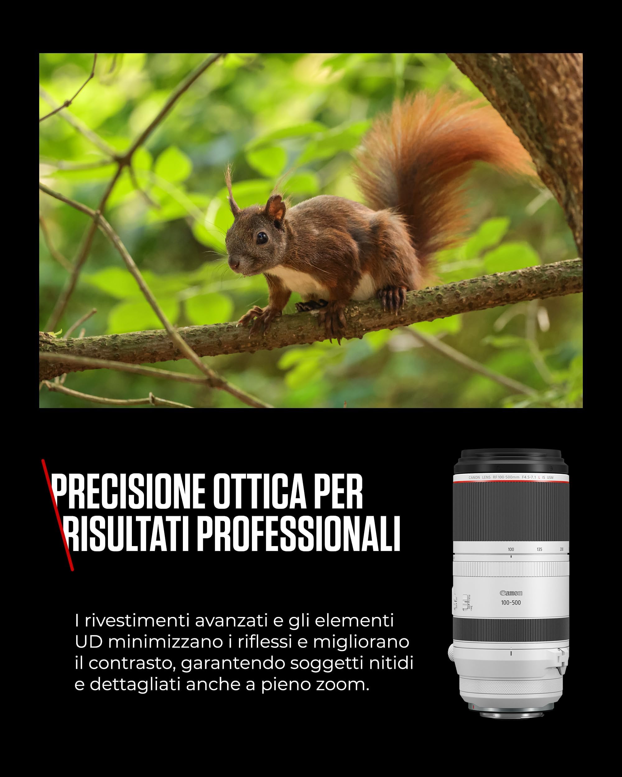 Canon RF 100-500mm F4.5-7.1L IS USM Obiettivo