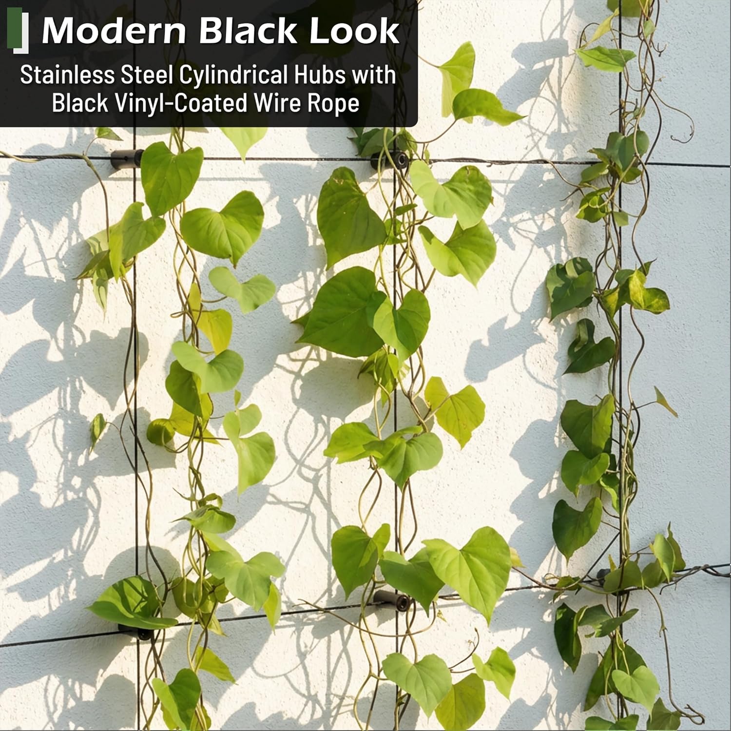 Wire Trellis for Climbing Plants Outdoor, 20-Set Wall Wire Trellis Kit with 1/8in x 98ft Vinyl Coated Cable, Black T316 Cylindrical Espalier System for Fence and Garden DIY Projects